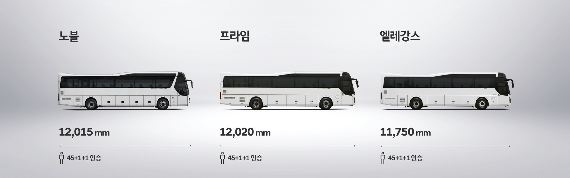 노블 : 길이 12,015mm 45+1+1인승, 프라임 : 길이 12,020mm 45+1+1인승, 엘레강스 : 길이 11,750mm 45+1+1인승